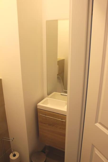 Paraderma Apartment Im Zentrum Baden Bei Wien Экстерьер фото