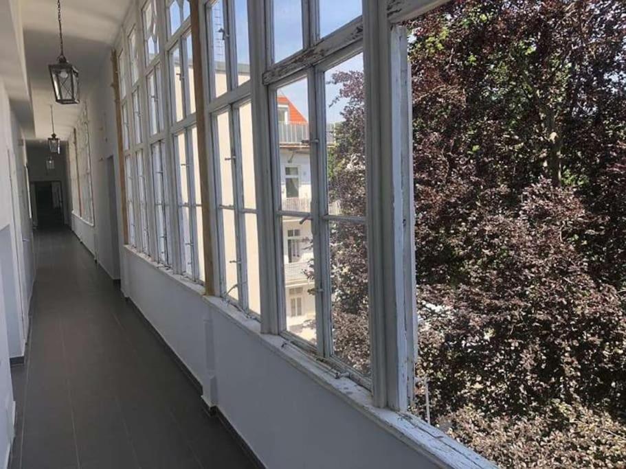 Paraderma Apartment Im Zentrum Baden Bei Wien Экстерьер фото